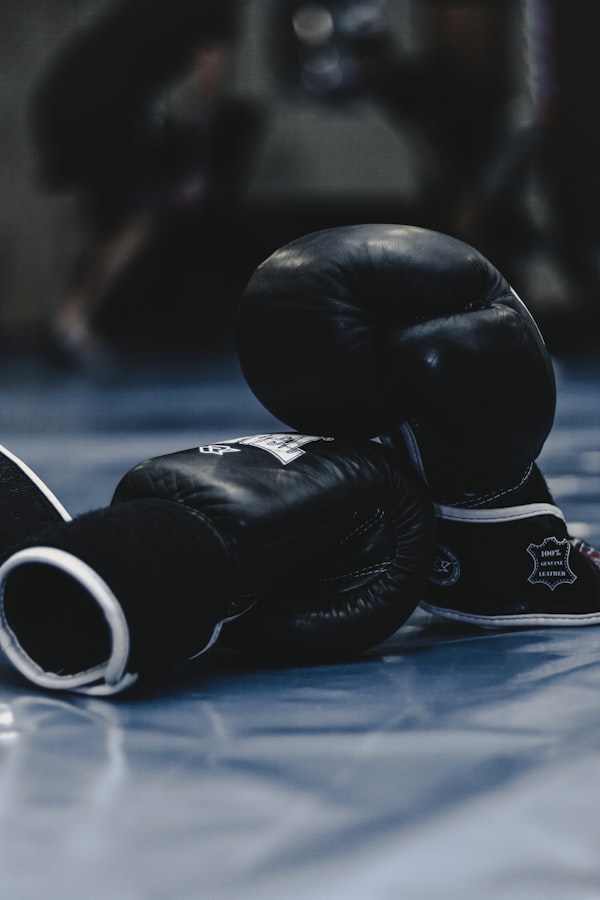 Pro Boxing Gloves 12oz